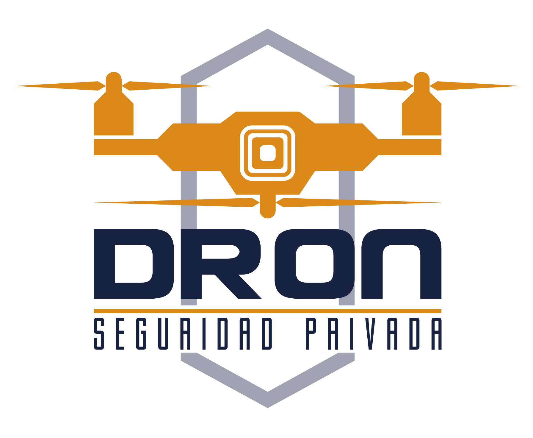 Conexion Mexico Empresa DRON SEGURIDAD PRIVADA Conexion Mexico